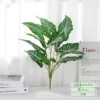 Feuille de taro féérique à 12 rayures - blanc et vert