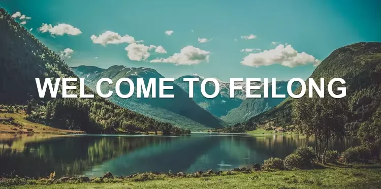 BCD-280 280升热卖双门电器厂家批发热卖冰箱