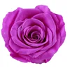 RED purple