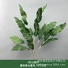 Mountain peach leaf