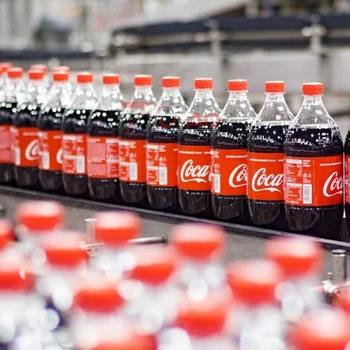 Fully Automatic 3-in-1 PET Bottled Carbonated Soft Drinks Filling Production Line Machinery Easy to Operate