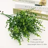 49 green Eucalyptus