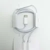 Type-C wired earphone