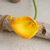 สีส้ม