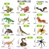 XPZ Mini Reptiles Coloridos (Set de 12 Estilos)