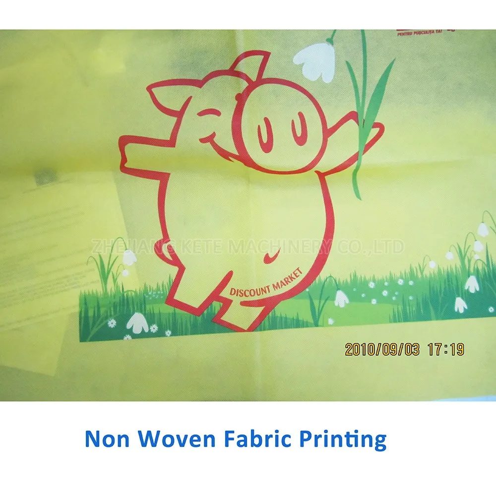 2 4 6 8 10 Color Best Flexo Printing Machines Cost for Plastic Film PP Woven Fabric Non Woven Bag Printing Machine Price List