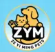 company-logo