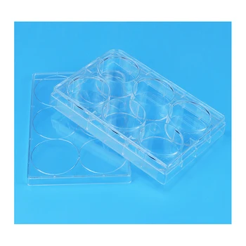 Plastic Sterile Tissue Culture Container PS Cell Culture Plate with 6 Well Tissue Cell Culture Plates Lab Hot Disposable 1 Box