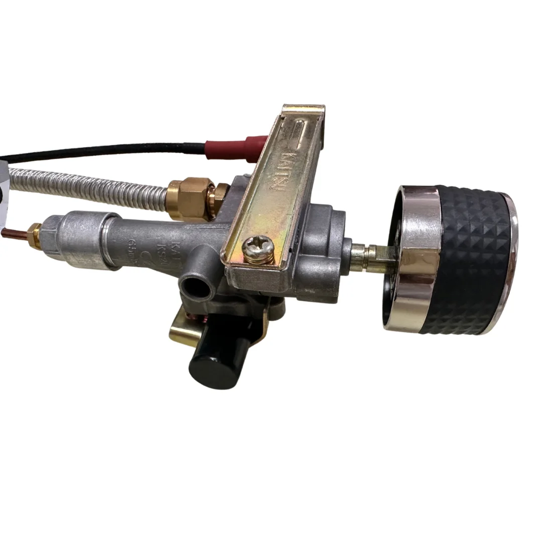 Eu Type Connect Bbq Pizza Oven Gas Valves With Thermocouple And Knob Buy Gas Burner Valves
