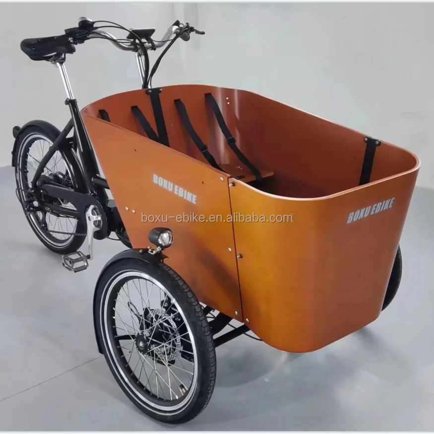 Boxu modificó la bicicleta para requisitos particulares de la familia E del E-carga de la bici del cargo con la bici eléctrica del cargo del portador 350w