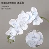 White blue