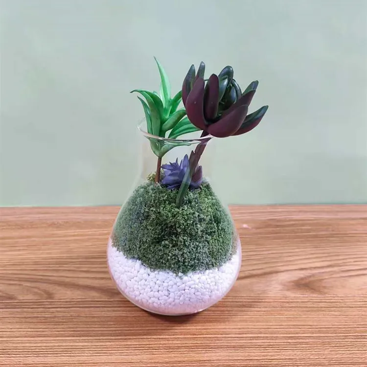 Home Decor Tabletop Empty Glass Bud Vases Cute Reusable Hand Blown Clear  Glass Plant Pot Terrarium for Moss Artificial Plant