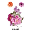 HB-667