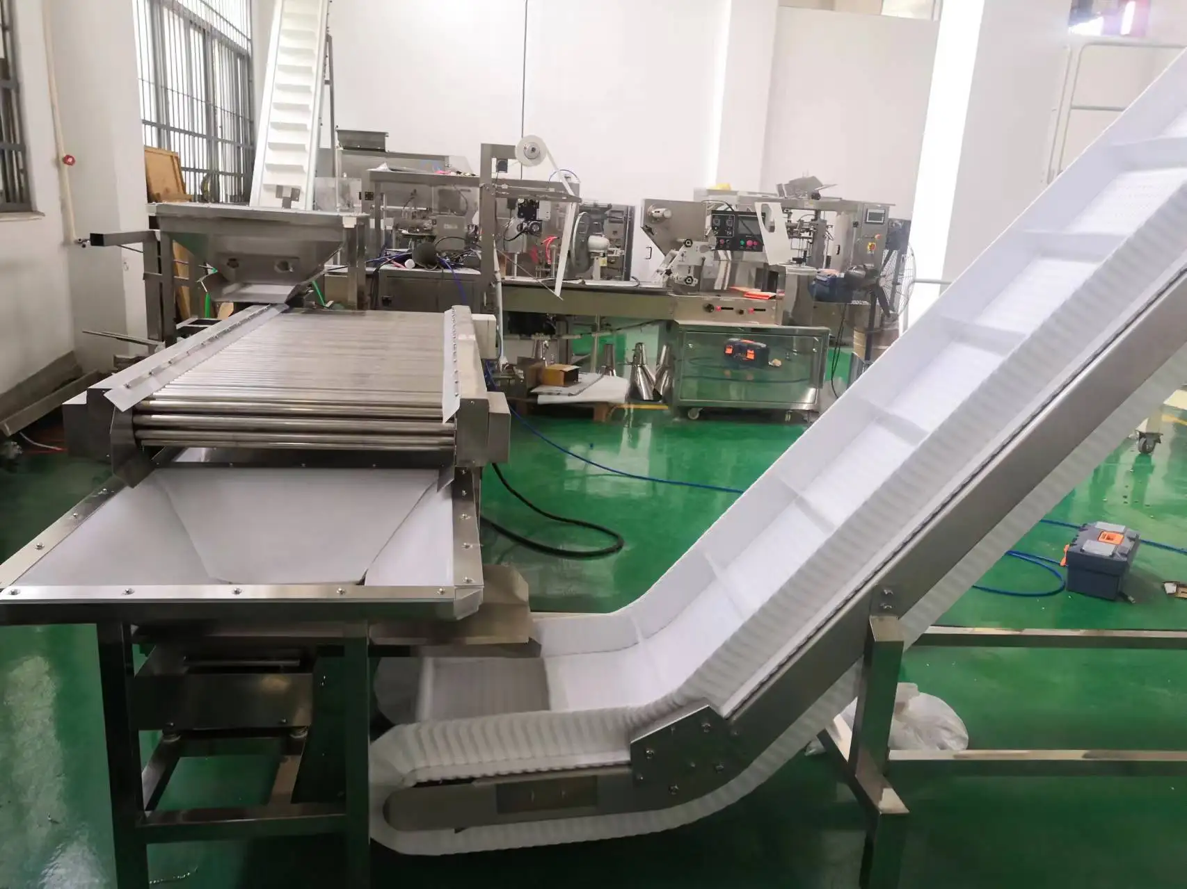 Semi-automatic Blueberry Fruit Punnet Container Packing Equipment