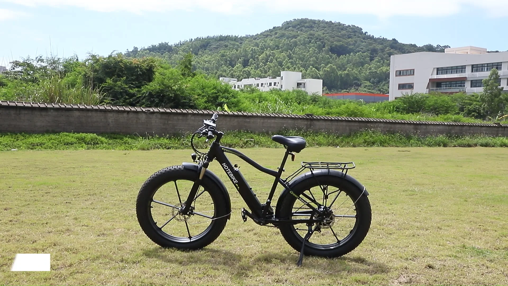 Pedal Assist Best Electric Bike 1000w Pedal Assist Speedrid Fat