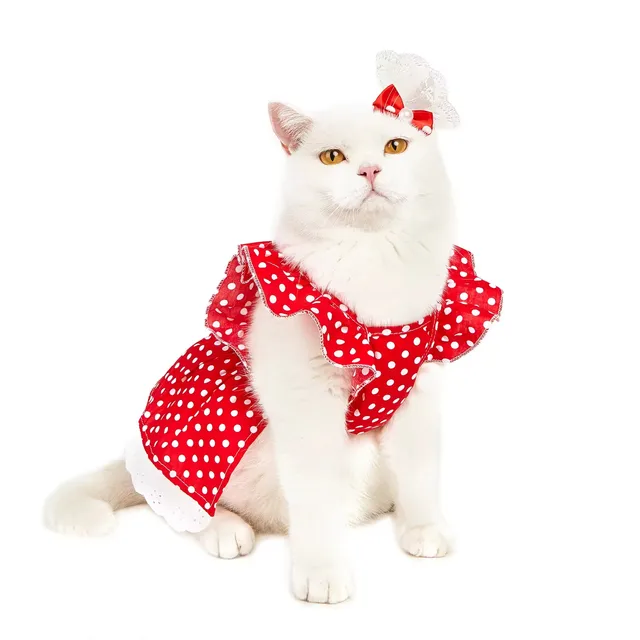 Uniperor Custom comfortable high quality cat printed polka dot dog clothing designer pet clothes