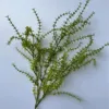 Thousand-layer grass