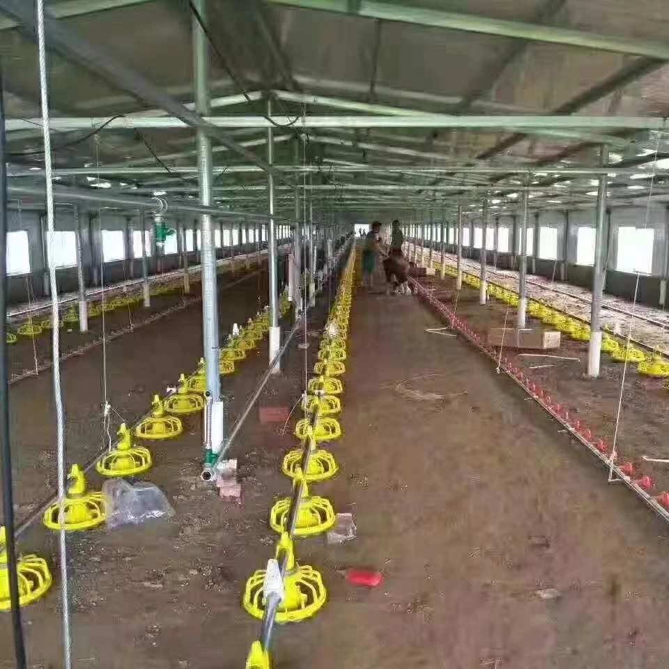 Automatic Poultry Equipment Broiler Feeding System for Chicken Farm