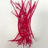 2 rojo