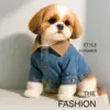 Veste en jean à col