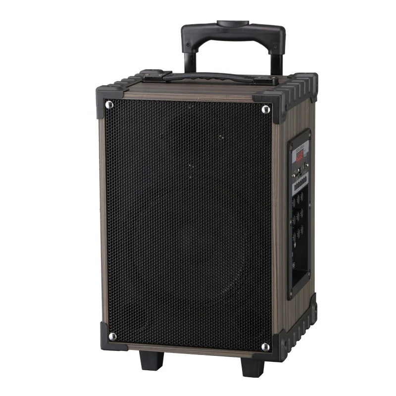 8 Inch Multi Function Big Wireless Speaker Outdoor Portable Wireless Trolley Speaker with Wireless Microphone and Remote