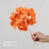 สีส้ม