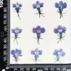 MH99 porcelaine naturelle bleue et blanche 12 pcs/sac