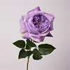 07-สีม่วง