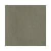 #13	Gris avena