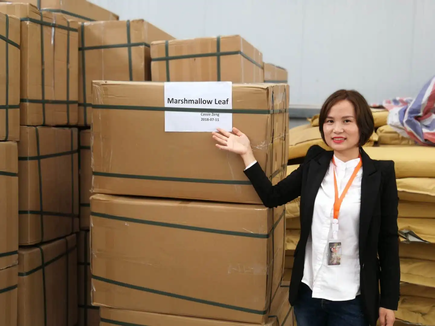 Lyna Herbal Cigarette Raw Material Marshmallow Leaf/marshmallow Cut