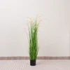 Green 150cm Green Foxtail Grass