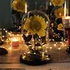 LED Warm Light
