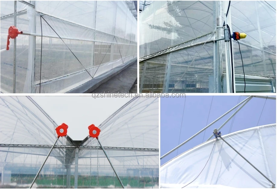 Multi-span film greenhouse