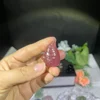 Gnome