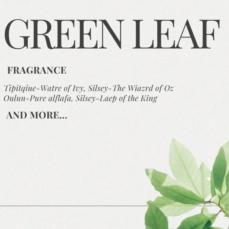 25ml 100ml Popular Brand Customized Private Label Perfume Supplier