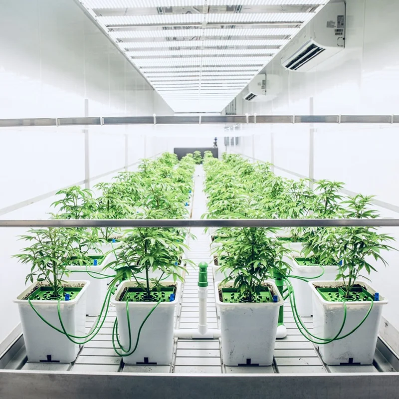 Plant Aeroponic Growing Mobile Hydroponic Container For Sale Buy Hydroponic Container,Vertical