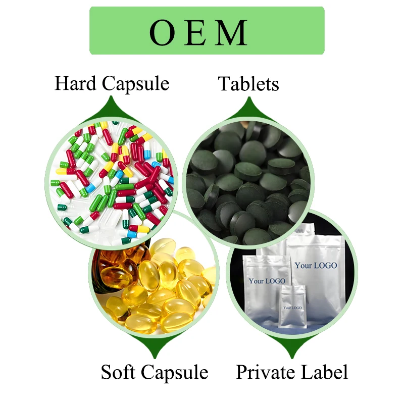 High Quality Natural Food Grade 10:1 Shatavari Extract Powder Asparagus Racemosus Herbal Extract Drum Packaging