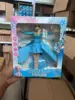 Ice and snow princess aircraft