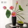 Lotus Language Green Crabapple - Black