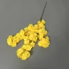 Amarillo