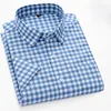 12-Plaid blu