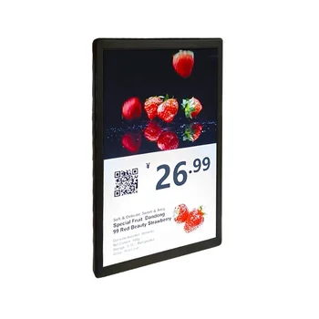 10.1 Inch TFT-LCD Full Color Electronic Shelf Label ESL Digital Labeling System For Fruit Supermarket Price Tags