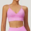 Light Purple+bra