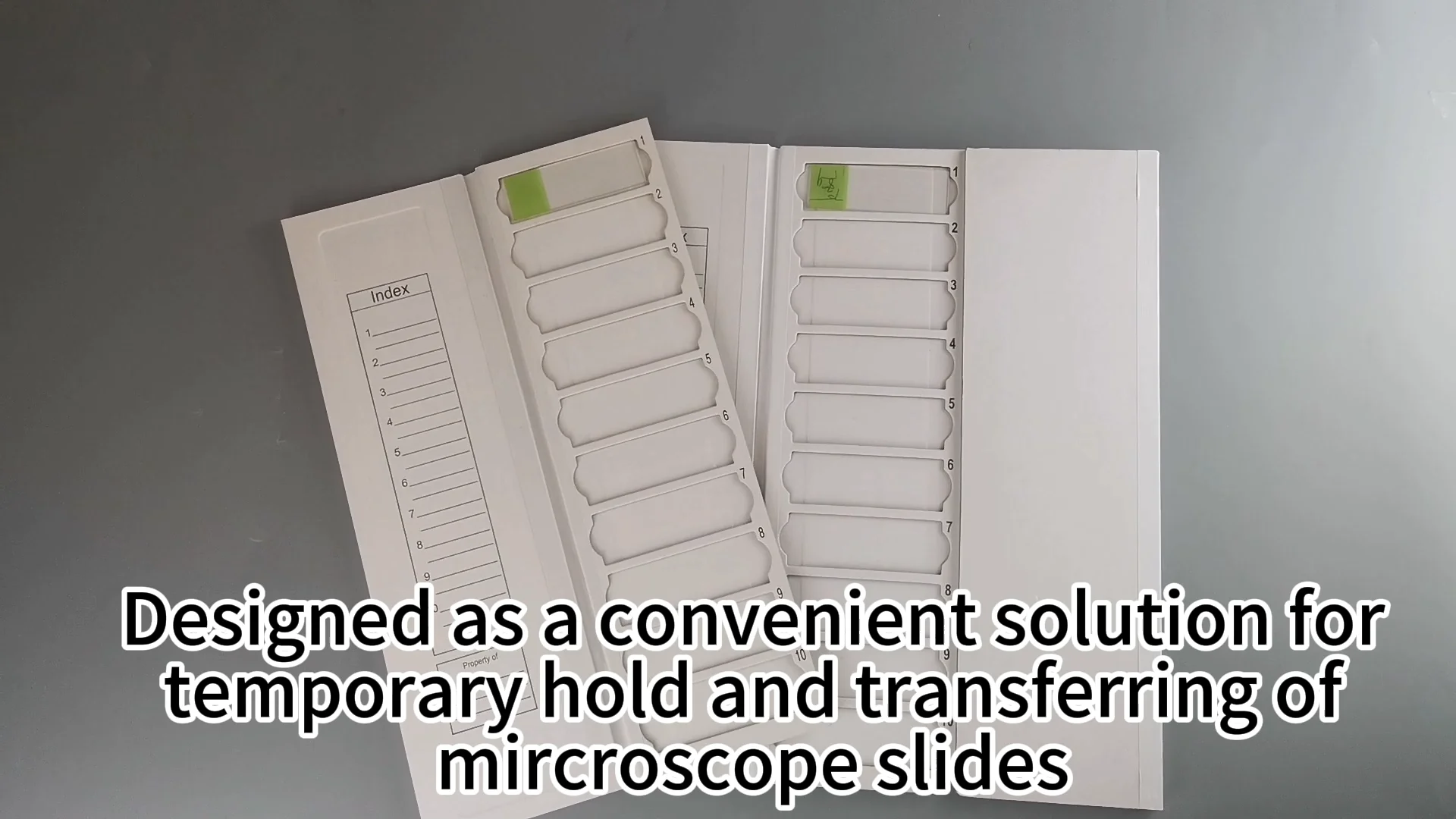 Laboratory Histology Uses Slides Cardboard Microscope Slide Tray Buy