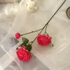 Rose red