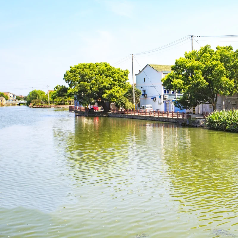 Специализированная бактерия для очистки сточных вод, чистой воды, уменьшение уровня груза, устранение запаха сточных вод
