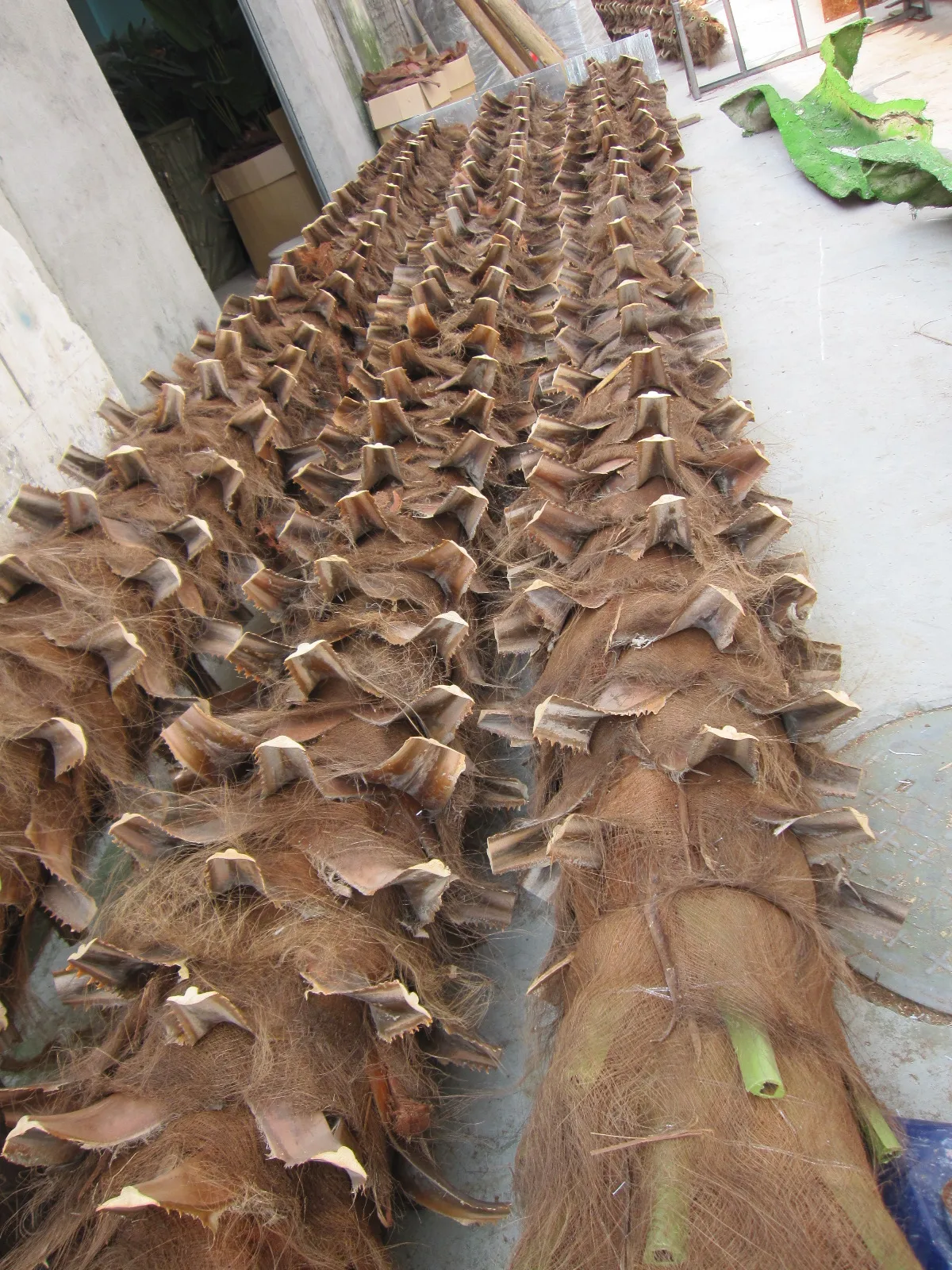 Factory Fiberglass Artificial Fan Palm Tree Simulation Fan Palm Tree ...