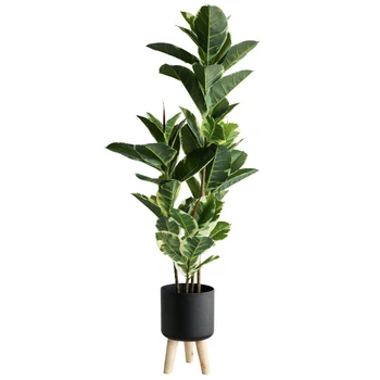 artificial blossom tree Hot sale High quality artificial Rubber tree plants for living room auchentoshan springwood