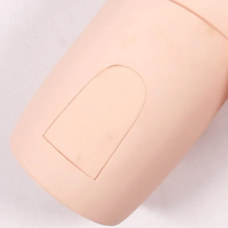 DARHMMY PVC Male Catheterisation Teaching Model for Medical Science for Nursing Skills Training in Schools and Hospitals