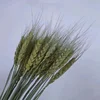 Natural
